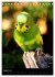 Wilde Wellensittiche (Tischkalender... - Bild 14