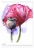 Blütenaquarelle (Wandkalender 2026 DIN... - Bild 12