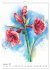 Blütenaquarelle (Wandkalender 2026 DIN... - Bild 4