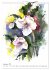 Blütenaquarelle (Wandkalender 2026 DIN... - Bild 5