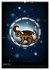 Drachen-Sternzeichen (Wandkalender 2026... - Bild 7