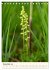 Einheimische Orchideen (Tischkalender... - Bild 5