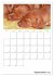Magyar Vizsla (Wandkalender 2026 DIN A2... - Bild 15