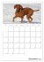 Magyar Vizsla (Wandkalender 2026 DIN A2... - Bild 5
