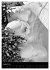 Monochrome Ski (Wandkalender 2026 DIN... - Bild 14