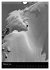 Monochrome Ski (Wandkalender 2026 DIN... - Bild 8