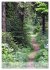 Wege als Traumpfade (hochwertiger... - Bild 11