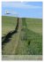 Wege als Traumpfade (hochwertiger... - Bild 12