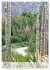 Wege als Traumpfade (hochwertiger... - Bild 13
