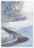 Wege als Traumpfade (hochwertiger... - Bild 4