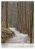 Wege als Traumpfade (hochwertiger... - Bild 7