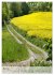 Wege als Traumpfade (hochwertiger... - Bild 10