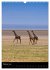 Wildes Afrika (Wandkalender 2026 DIN A3... - Bild 8