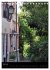 Am Gardasee (Tischkalender 2026 DIN A5... - Bild 13
