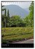 Am Gardasee (Tischkalender 2026 DIN A5... - Bild 4
