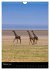 Wildes Afrika (Wandkalender 2026 DIN A4... - Bild 8