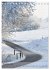 Wege als Traumpfade (Tischkalender 2026... - Bild 5