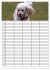 Der Pudel-Familienplaner (Wandkalender... - Bild 12