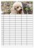 Der Pudel-Familienplaner (Wandkalender... - Bild 4