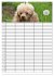 Der Pudel-Familienplaner (Wandkalender... - Bild 10