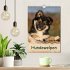 Hundewelpen (Wandkalender 2026 DIN A4... - Bild 2
