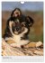 Hundewelpen (Wandkalender 2026 DIN A4... - Bild 5