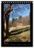 Odenwald & Bergstraße (Tischkalender... - Bild 9