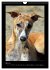 Ein Whippet wird erwachsen... - Bild 11