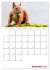 Eichhörnchen Planer 2026 (Wandkalender... - Bild 15