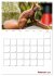Eichhörnchen Planer 2026 (Wandkalender... - Bild 8