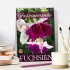 Faszinierende Fuchsien (Tischkalender... - Bild 2