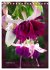 Faszinierende Fuchsien (Tischkalender... - Bild 15