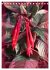 Faszinierende Fuchsien (Tischkalender... - Bild 4
