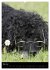 Pudel en vogue (Wandkalender 2026 DIN... - Bild 11