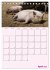 Schweinischer Terminplaner... - Bild 10