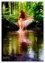 REDHEADS (Wandkalender 2026 DIN A3... - Bild 14