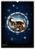 Drachen-Sternzeichen (Wandkalender 2026... - Bild 7