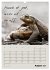 Kölsches Grundgesetz (Wandkalender... - Bild 14