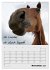 Kölsches Grundgesetz (Wandkalender... - Bild 4