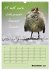 Kölsches Grundgesetz (Wandkalender... - Bild 5