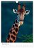 Magie des Augenblicks - Giraffen -... - Bild 4