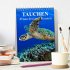 Tauchen - Abtauchen und Staunen... - Bild 2