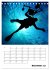 Tauchen - Abtauchen und Staunen... - Bild 5
