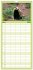 Familienplaner 2026 - Tiere des Waldes... - Bild 12
