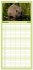 Familienplaner 2026 - Tiere des Waldes... - Bild 3