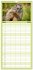 Familienplaner 2026 - Alpenmurmeltiere... - Bild 9