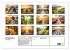 Fotogalerie Fotogalerie