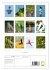 Le Pantanal (Calendrier mural 2026 DIN... - Bild 6