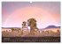 USA the wonderful Southwest (Wall... - Bild 12