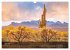 USA the wonderful Southwest (Wall... - Bild 13